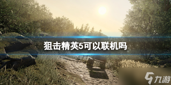 《狙击精英5》几人联机 可以联机吗