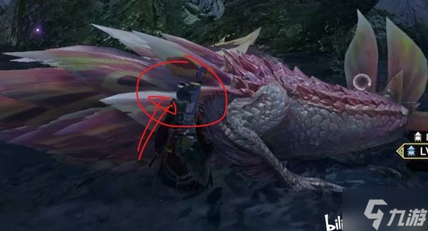 《怪物獵人崛起》泡狐龍大小金攻略