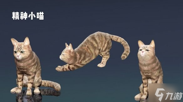 《黑色沙漠手游》5月31日全新版本活动介绍 新版本6大活动介绍