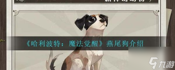 <a id='link_pop' class='keyword-tag' href='http://www.575.zj.cn/hlbt/'>哈利波特魔法覺醒</a>燕尾狗介紹 具體介紹