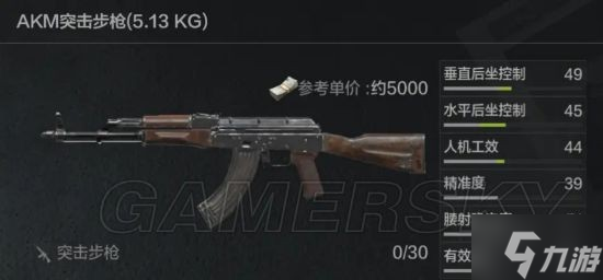 《暗区突围》AK系列突击步枪解析 AK好用吗