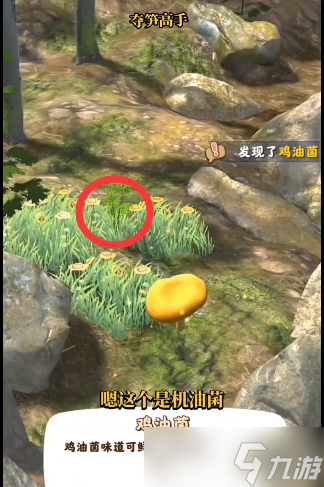 夺笋高手金钗石斛获得方法