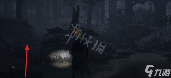 《采石场惊魂》畸形秀大火线索有哪些？畸形秀大火全线索收集攻略