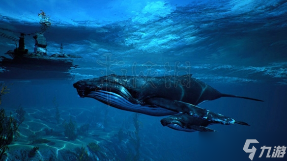 《食人鲨》游戏背景讲了什么 玩家将扮演一条鲨鱼在墨西哥湾海域