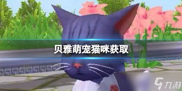 《创造与魔法》贝雅萌宠猫咪获取 猫咪获取方法