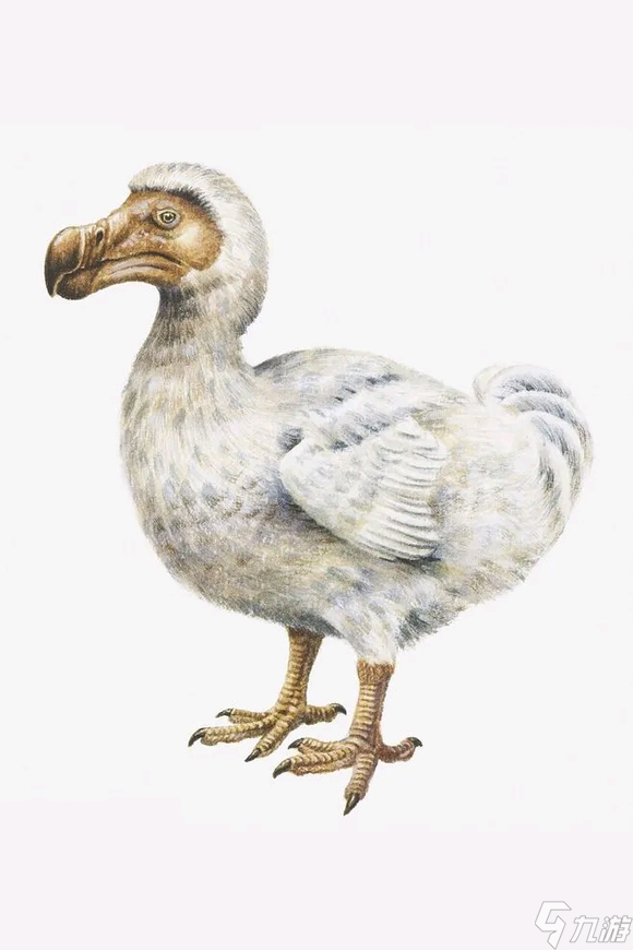 方舟生存进化新手常见生物特性科普
