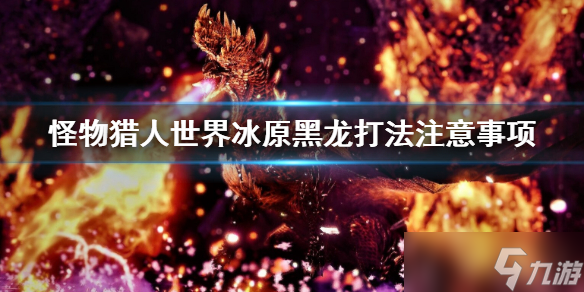 《怪物猎人世界冰原》黑龙打法是什么？黑龙打法注意事项