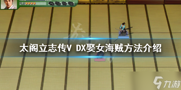 《太閣立志傳V DX》怎么娶女海賊？娶女海賊方法介紹