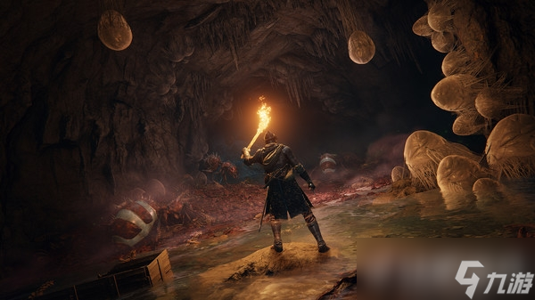 《艾尔登法环》无法登录服务器解决方法