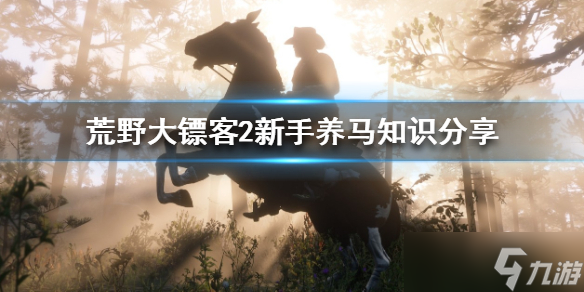 《荒野大镖客2》新手怎么养马 新手养马知识分享