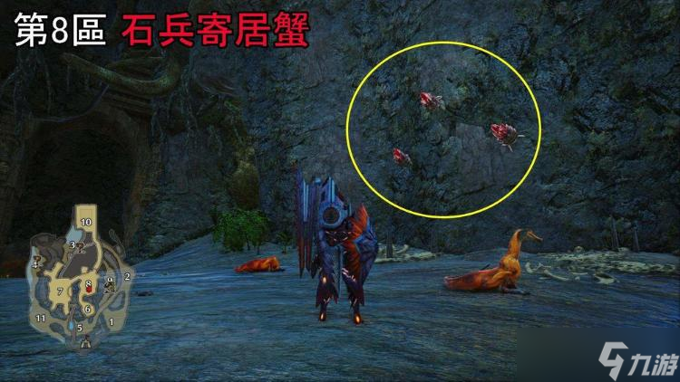 怪物猎人曙光密林实用环境生物分布位置