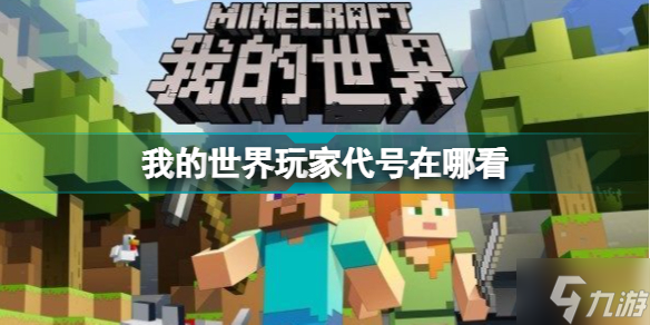 我的世界玩家代号在哪看