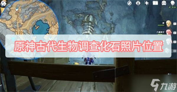 原神古代生物调查化石照片位置介绍