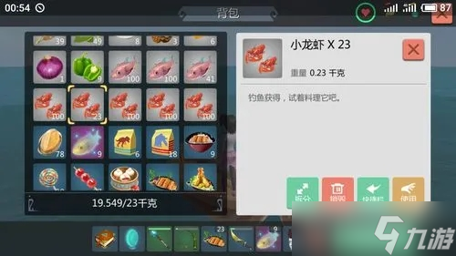 创造与魔法龙虾饵可以钓什么