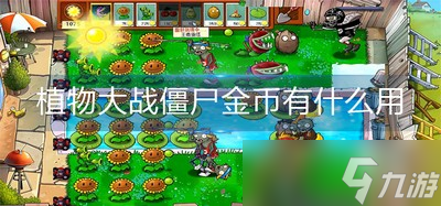 植物大战僵尸金币有什么用