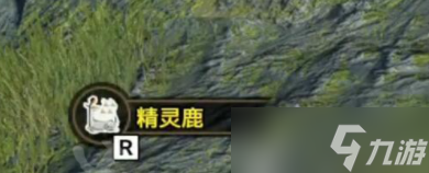怪物猎人崛起曙光极品毛皮要如何获取-怪物猎人崛起曙光极品毛皮获取方法分享