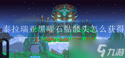 泰拉瑞亚如何能获得黑曜石骷髅头 石骷髅头获取方法攻略