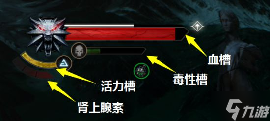 巫师3常用药水推荐
