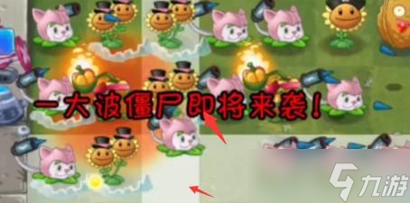 植物大戰(zhàn)僵尸2PVZ2回憶之旅困難怎么過 第一天通關(guān)教學(xué)