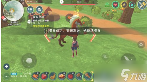 创造与魔法的坐骑怎么抓