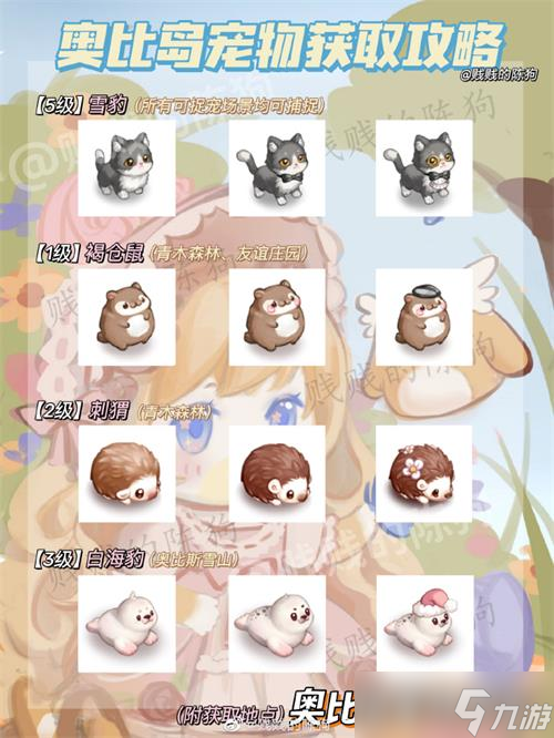 《奥比岛手游》宠物获取大全攻略