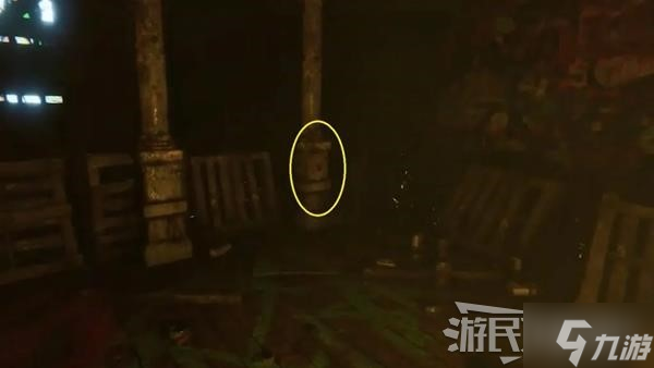 《失心疯》红色收集品位置攻略 红色照片在哪