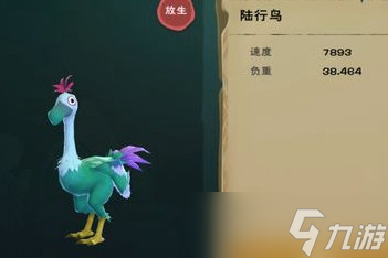 創(chuàng)造與魔法如何選擇坐騎