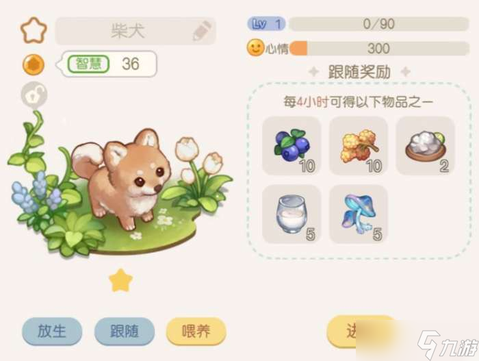 奥比岛梦想国度宠物培养方法一览