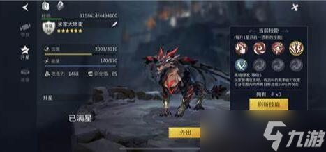 冰原守卫者应该养哪条龙