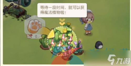 《奧比島夢想國度》魔法植物獲取方法