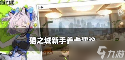 猫之城新手玩需要养哪些卡 新手养卡攻略