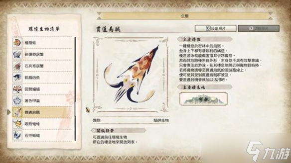 《怪物獵人崛起》貫通烏賊在哪？曙光貫通烏賊位置分享