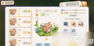 奥比岛手游宠物都有哪些 宠物图鉴一览