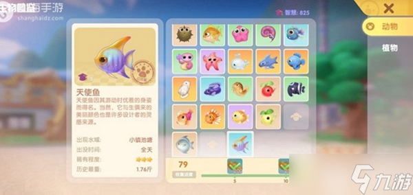 摩尔庄园小镇可以钓到的鱼种攻略