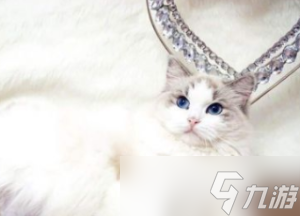 猫之城特莉丝角色介绍