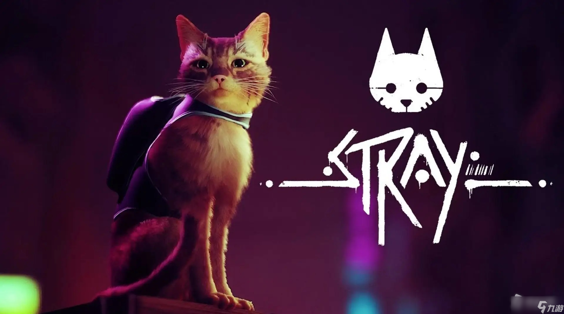 《Stray》工人夹克位置介绍