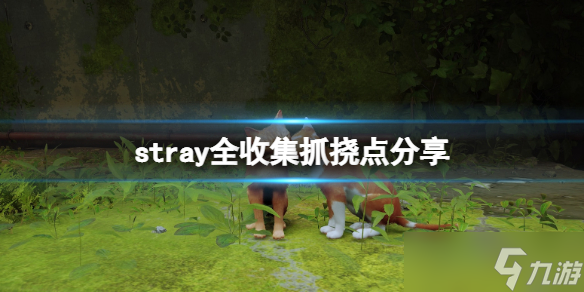 《stray》流浪猫抓挠点在哪里？全收集抓挠点分享
