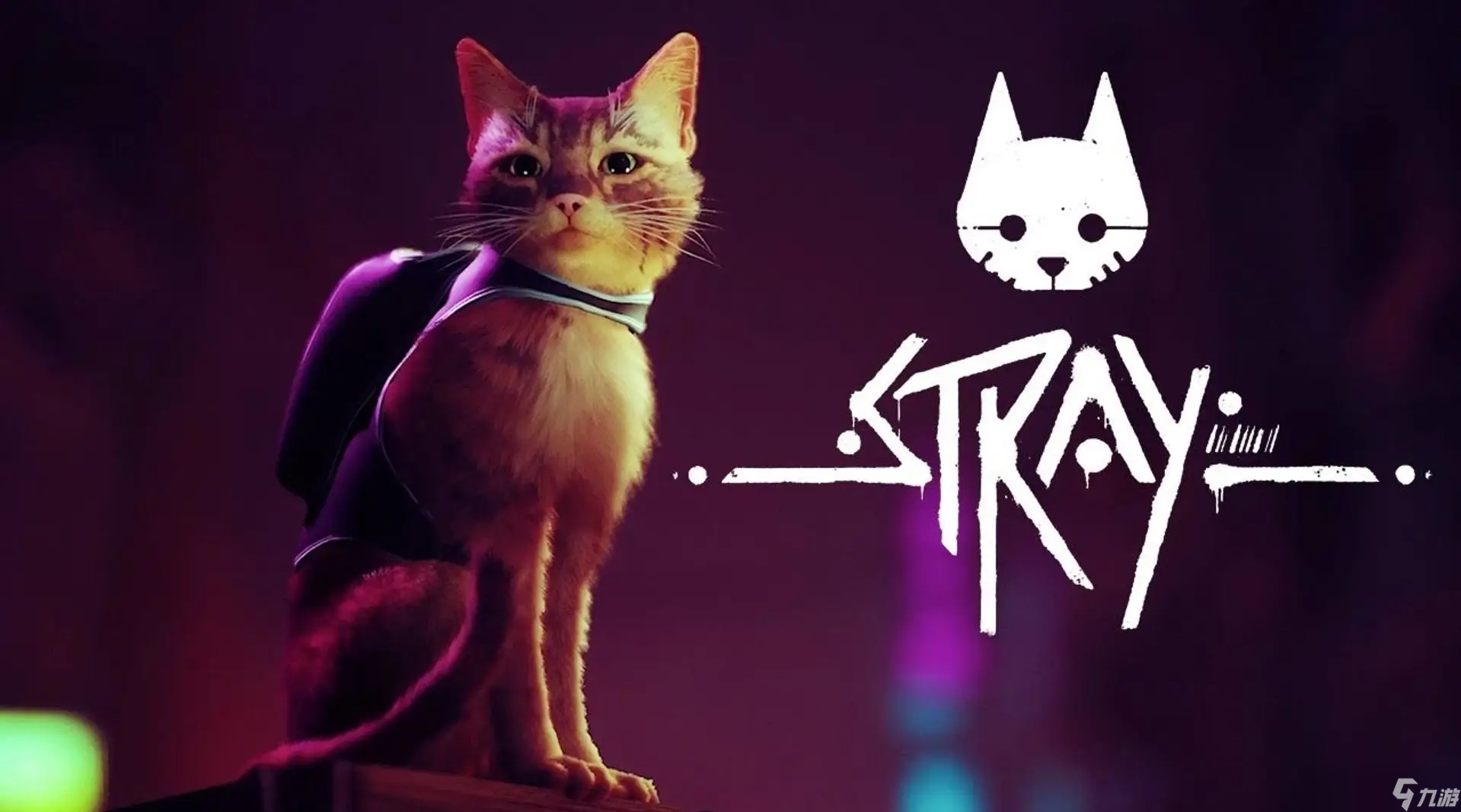 《Stray》怎么关掉抗锯齿