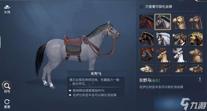 《黎明之海》全坐骑攻略 稀有坐骑免费获取