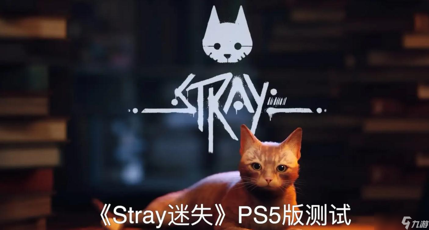 《迷失Stray》躲猫猫奖杯成就怎么做