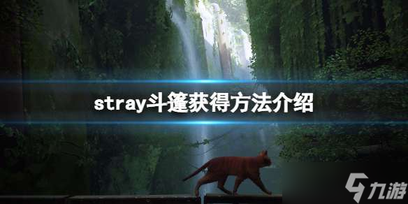 stray斗篷給誰用攻略分享