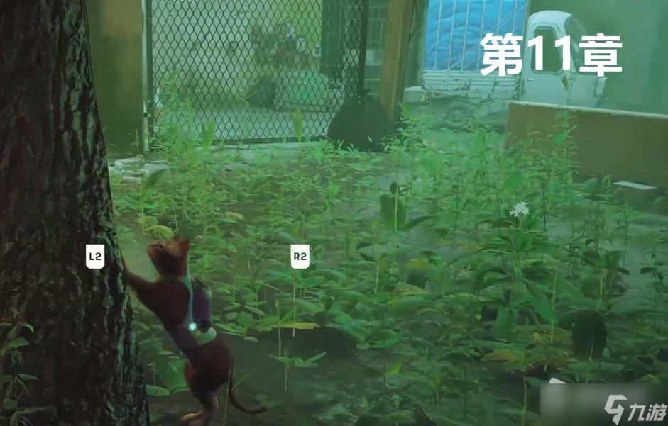 《迷失Stray》喵的地盤獎杯成就獲得方法