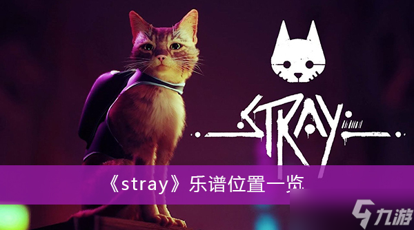 《stray》樂譜位置一覽