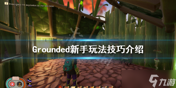 《禁闭求生》新手怎么玩 新手玩法技巧介绍