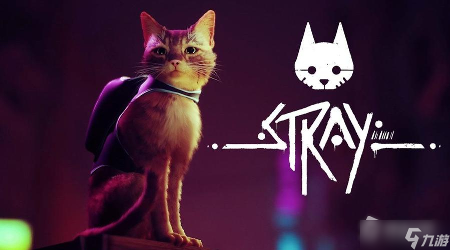 《Stray》充實(shí)的一天攻略