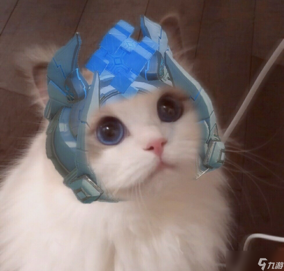 王者荣耀情侣猫咪头像