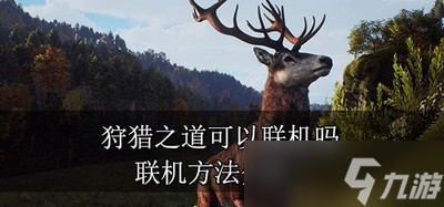 狩猎之道游戏能不能联机玩 游戏联机方法介绍