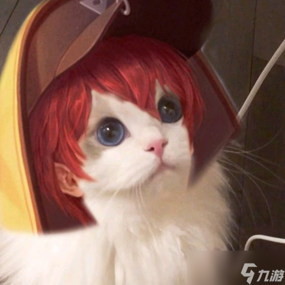 王者荣耀情侣猫咪头像