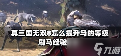 真三国无双8升马的等级怎么提 刷马经验攻略