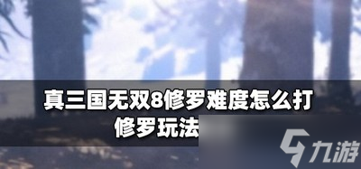 怎么打真三國(guó)無(wú)雙8修羅難度 修羅玩法教程